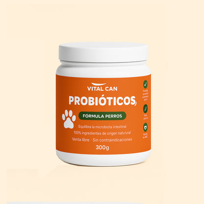 Probióticos I Mejora digestión y reduce alergias