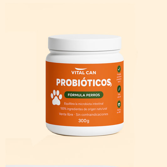 Probióticos I Mejora digestión y reduce alergias