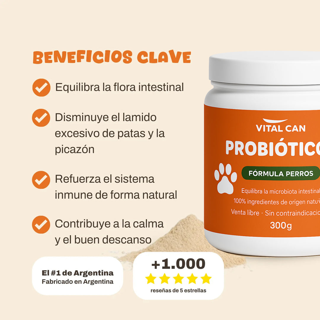 Probióticos I Mejora digestión y reduce alergias