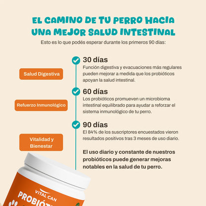 Probióticos I Mejora digestión y reduce alergias