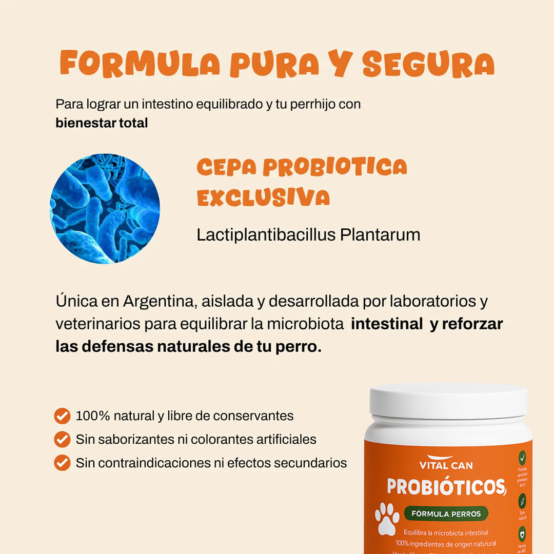 Probióticos I Mejora digestión y reduce alergias